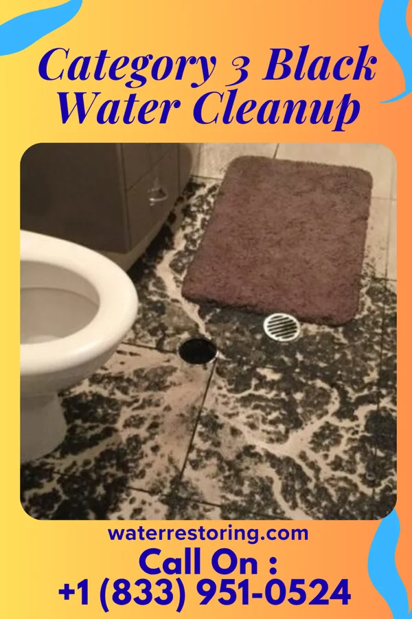 Category 3 Black Water Cleanup in Palisade, MN