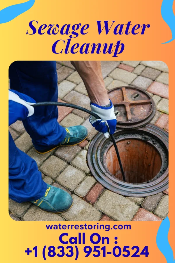 Sewage Water Cleanup in Palisade, MN