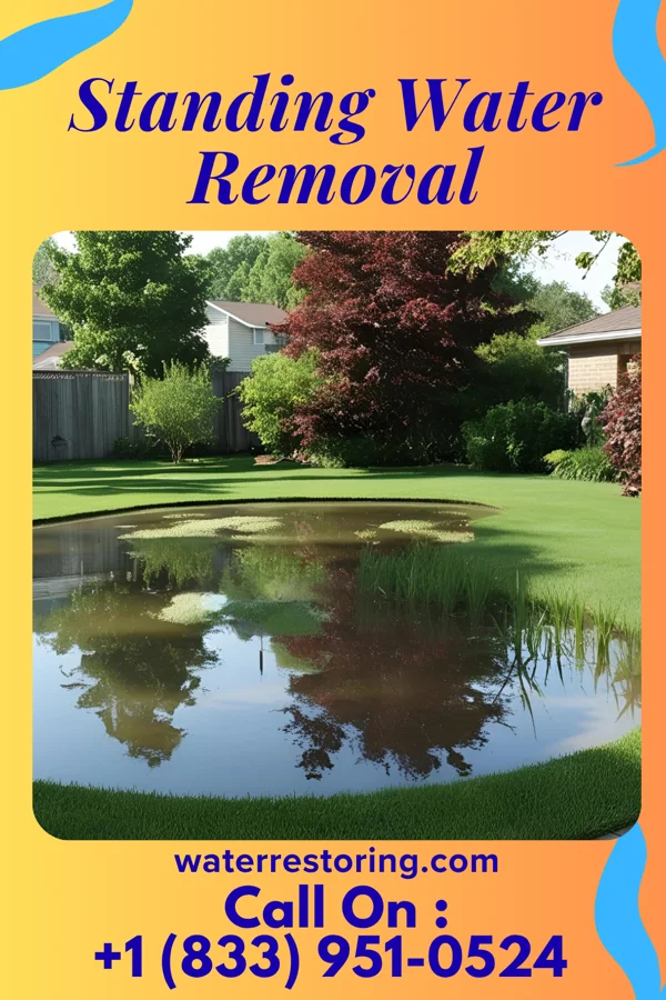 Standing Water Removal in Palisade, MN